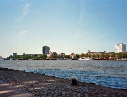 Hollanda’da Şirket Kurmak: BV mi, Eenmanszaak mı? Adım Adım Rehber